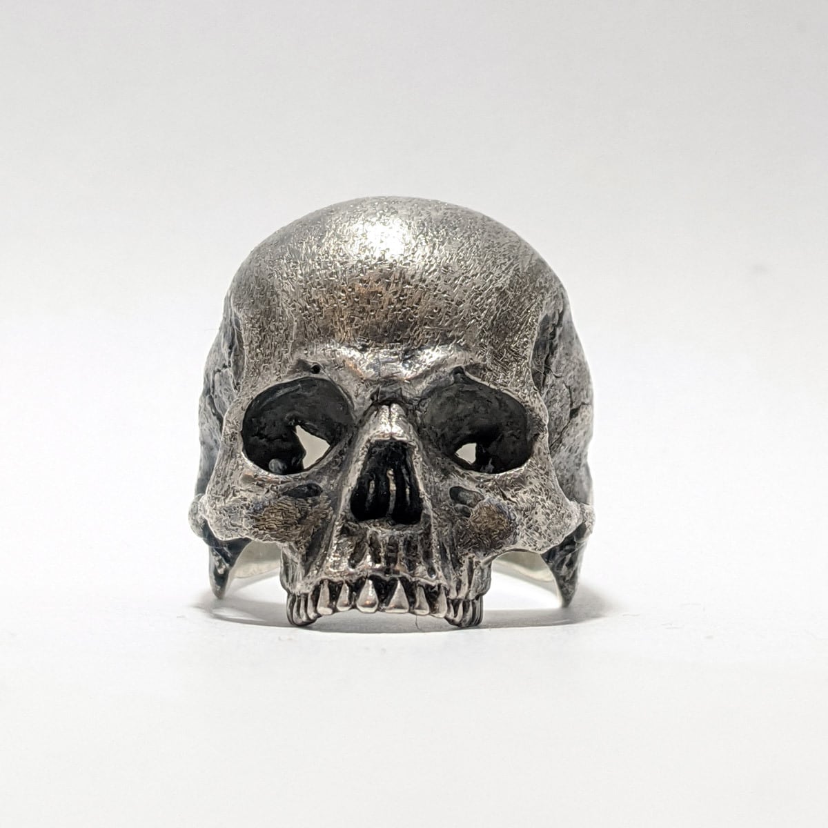 指輪 【Anatomical Skull Ring without Joe】 解剖学的スカルリング