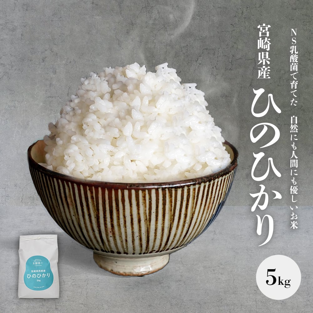 高知県産ヒノヒカリ白米20㌔ - 米・雑穀・粉類
