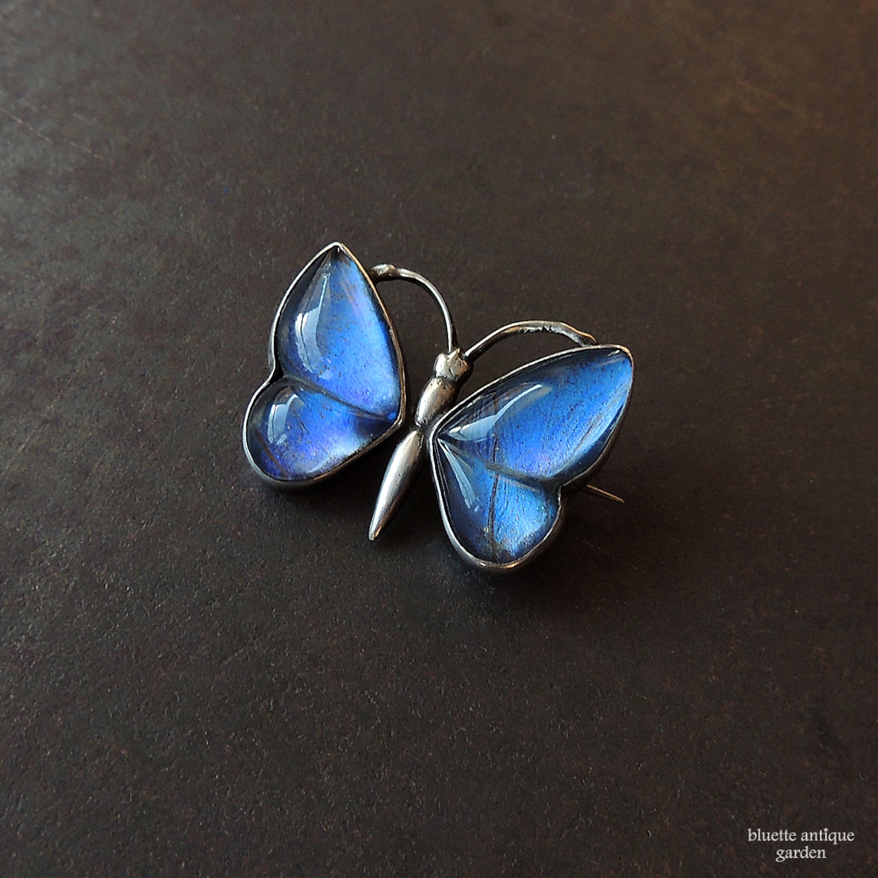 アンティークジュエリー スターリングシルバー モルフォ蝶 ブローチ(バタフライタイプ)