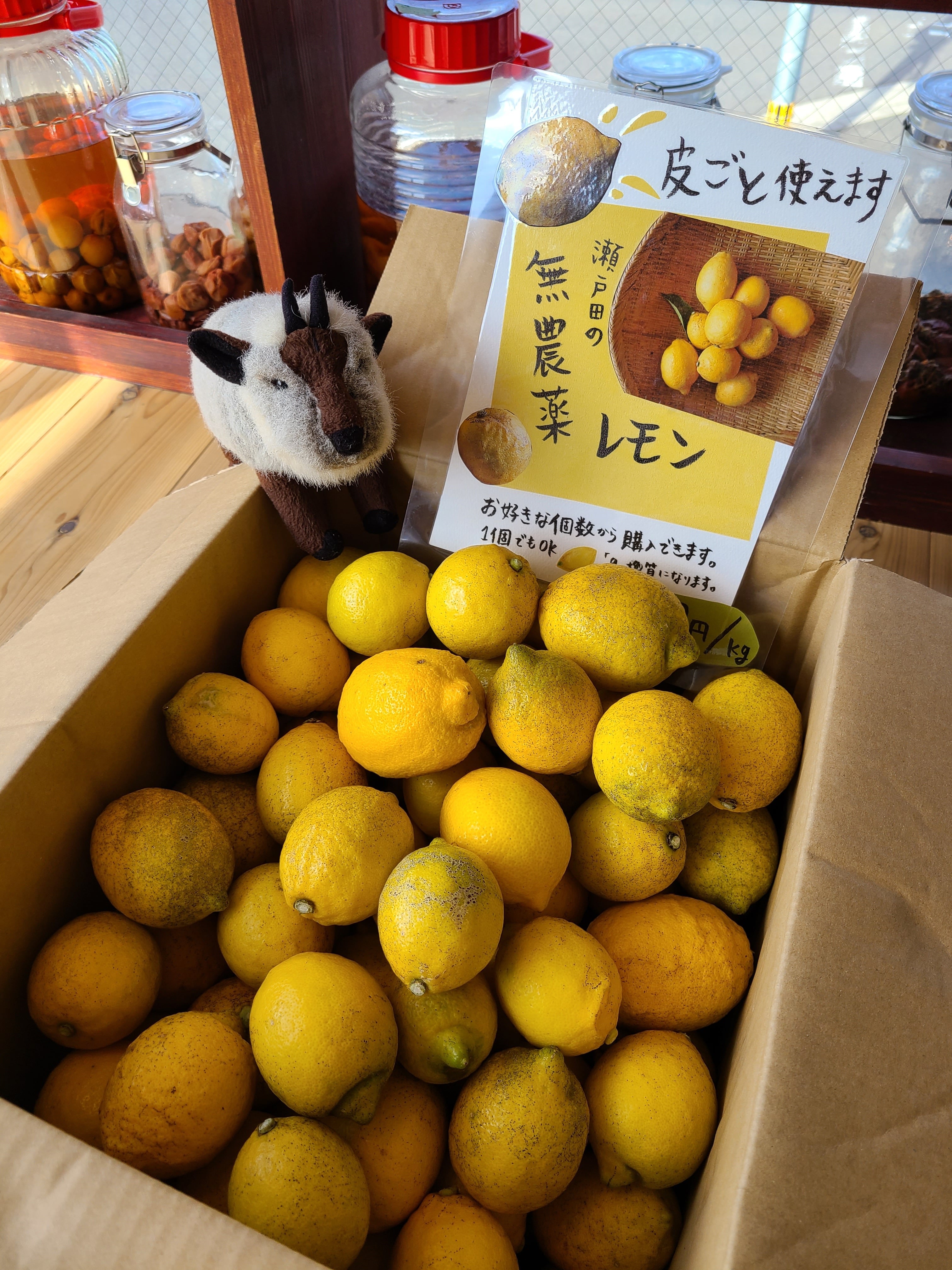 国産瀬戸田レモン農薬不使用2.6kg