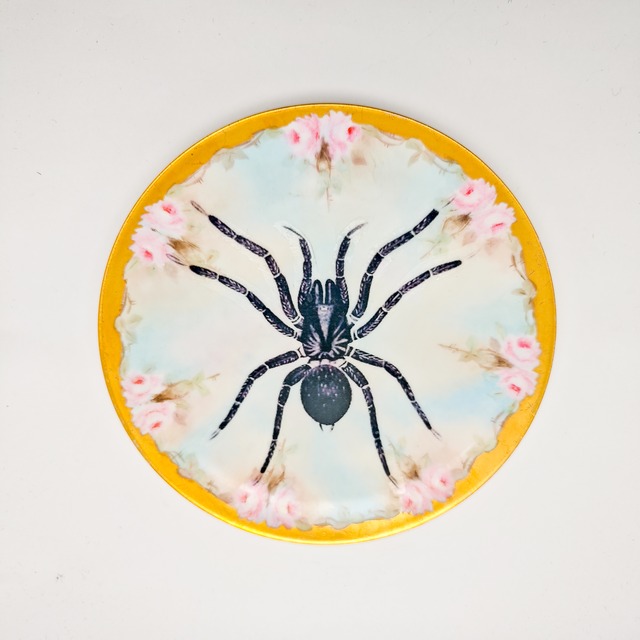 ヴィンテージ雑貨 スパイダーモチーフ アートプレート（ウォールプレート）