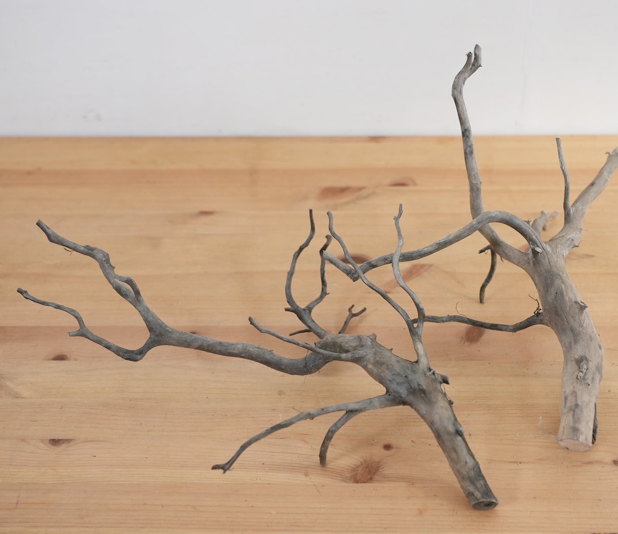 テラリウム用流木ブラックブランチ◇形状おまかせ | 苔テラリウム専門