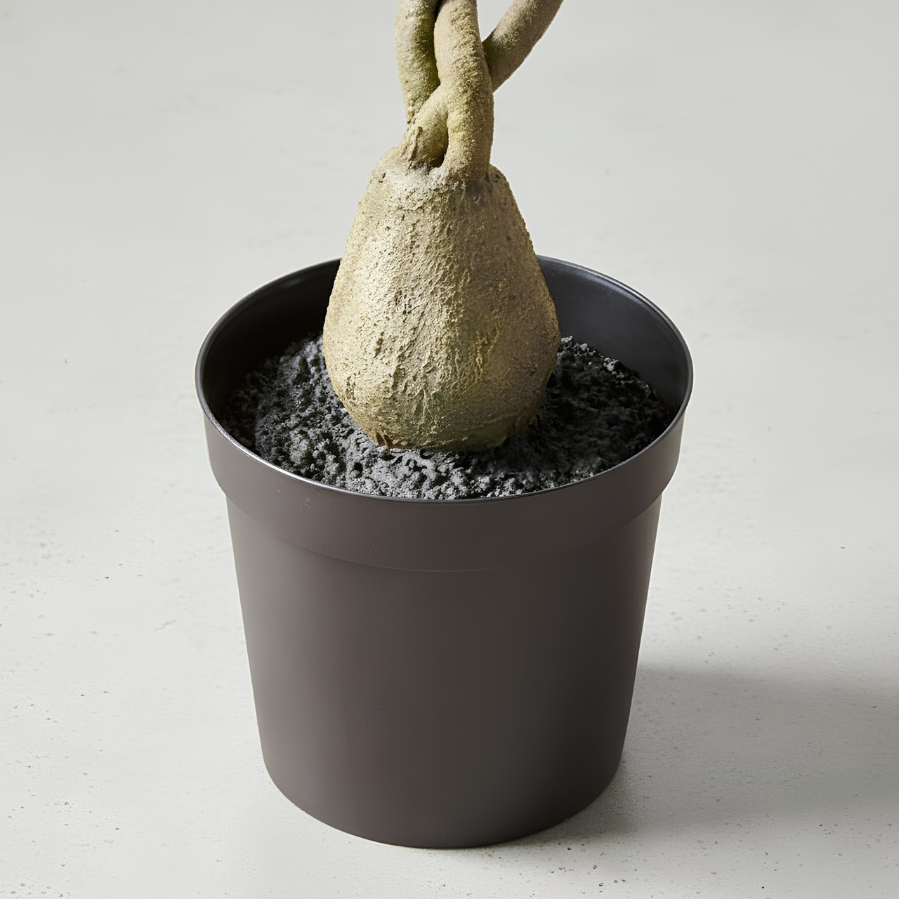ねじれミニパキラ85㎝［人工観葉植物・フェイクグリーンT］