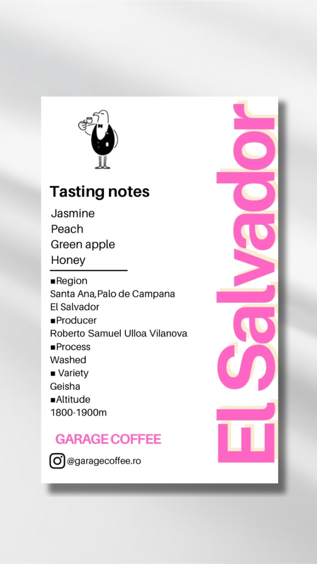 EL SALVADOR DIVINA PROVIDENCIA GEISHA WASHED 100g