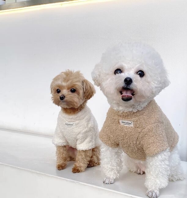 ドッグ 犬 小型犬 室内着 コート コスプレ 袖付き クマ もこもこ アニマル ぬくぬく ふわふわ 綿 かわいい シンプル カジュアル おしゃれ レトロ ラフ ボーイッシュ ルーズ 個性的 モダン 存在感 ラブリー キュート フェアリー ベーシック 無地 秋 冬 冬服 男の子 女の子 成犬 デート お出かけ イベント 公園 休日 カフェ 庭 ガーデン 散歩 ウォーキング 室内 おうち コーデ 楽ちん 暖かい インスタ映え XXS XS S M L XL 2XL ホワイト ブラウン