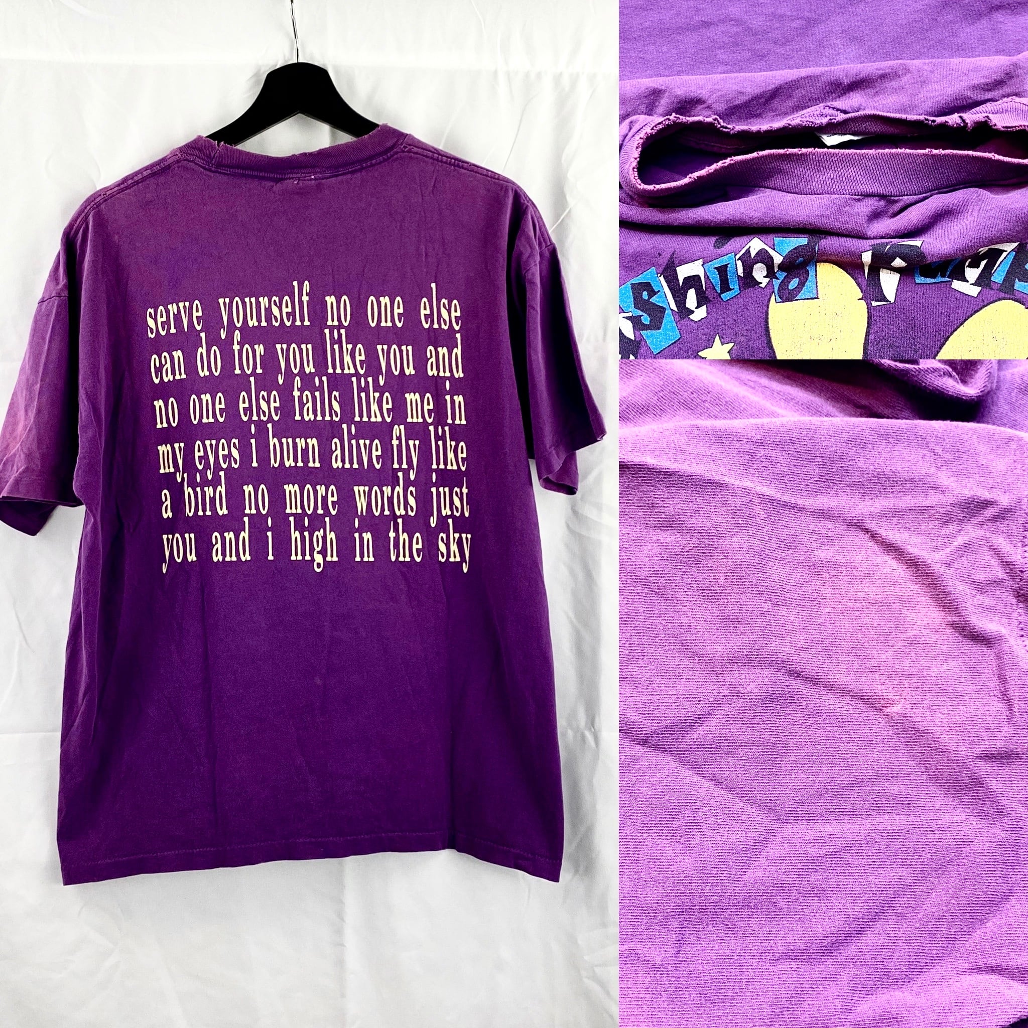 Smashing Pumpkins starla 90s Tシャツ Vintage ANVIL Smashing Pumpkins Starla Original Promo 1992 T