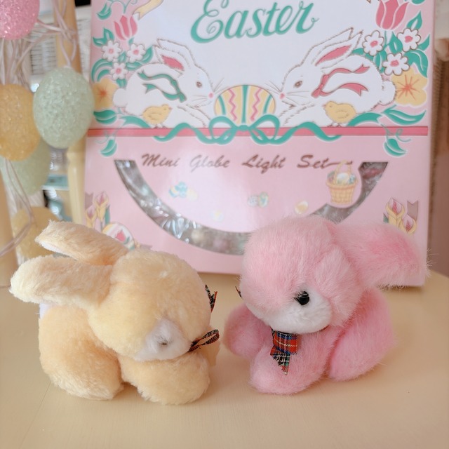 mini bunnysの画像