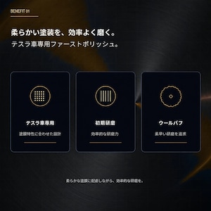 Specular オリジナル コンパウンド iZA TS1 300ml テスラ専用 ファーストポリッシュ用