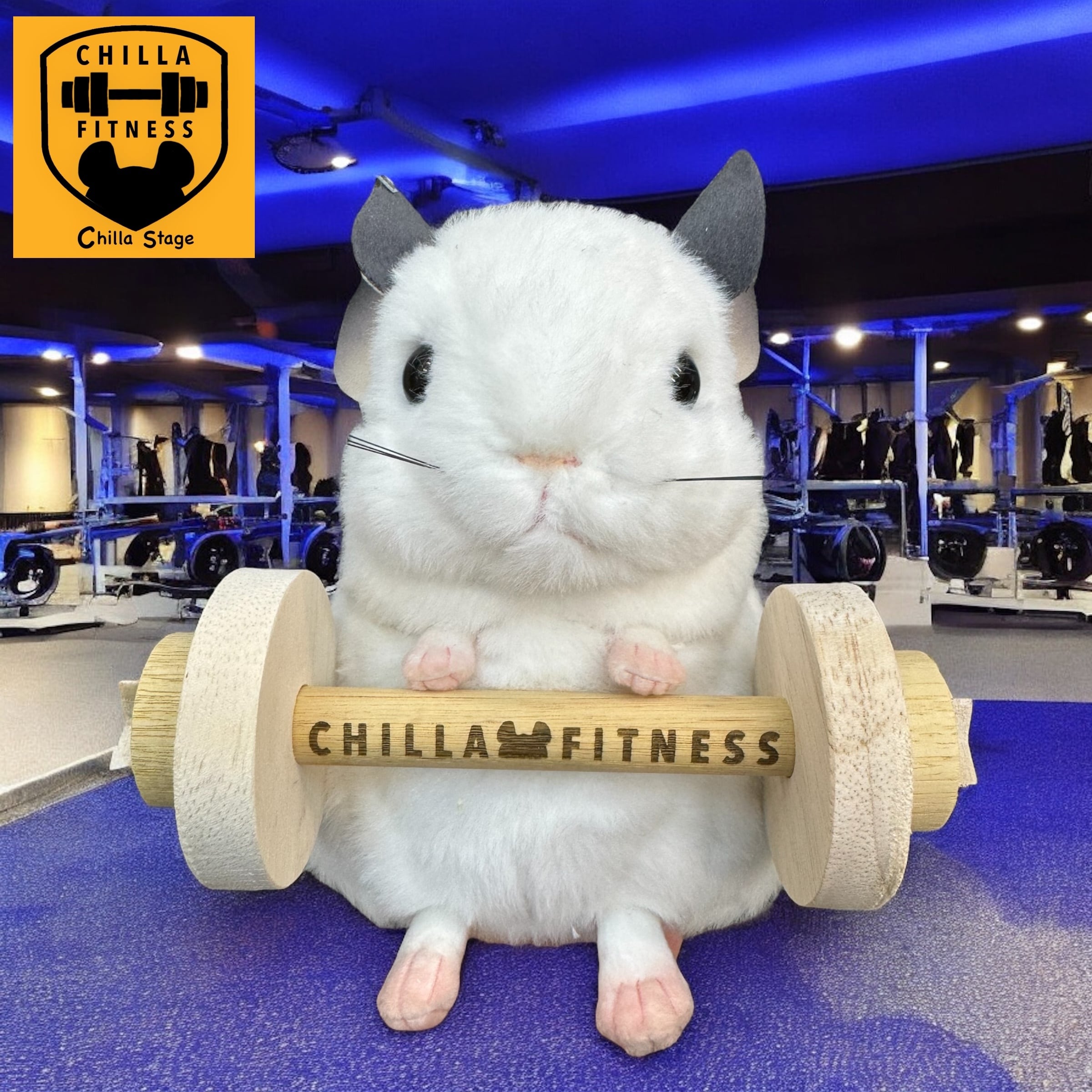 こびとづかん 超リアルソフビ シボリオオチチ | Pay ID