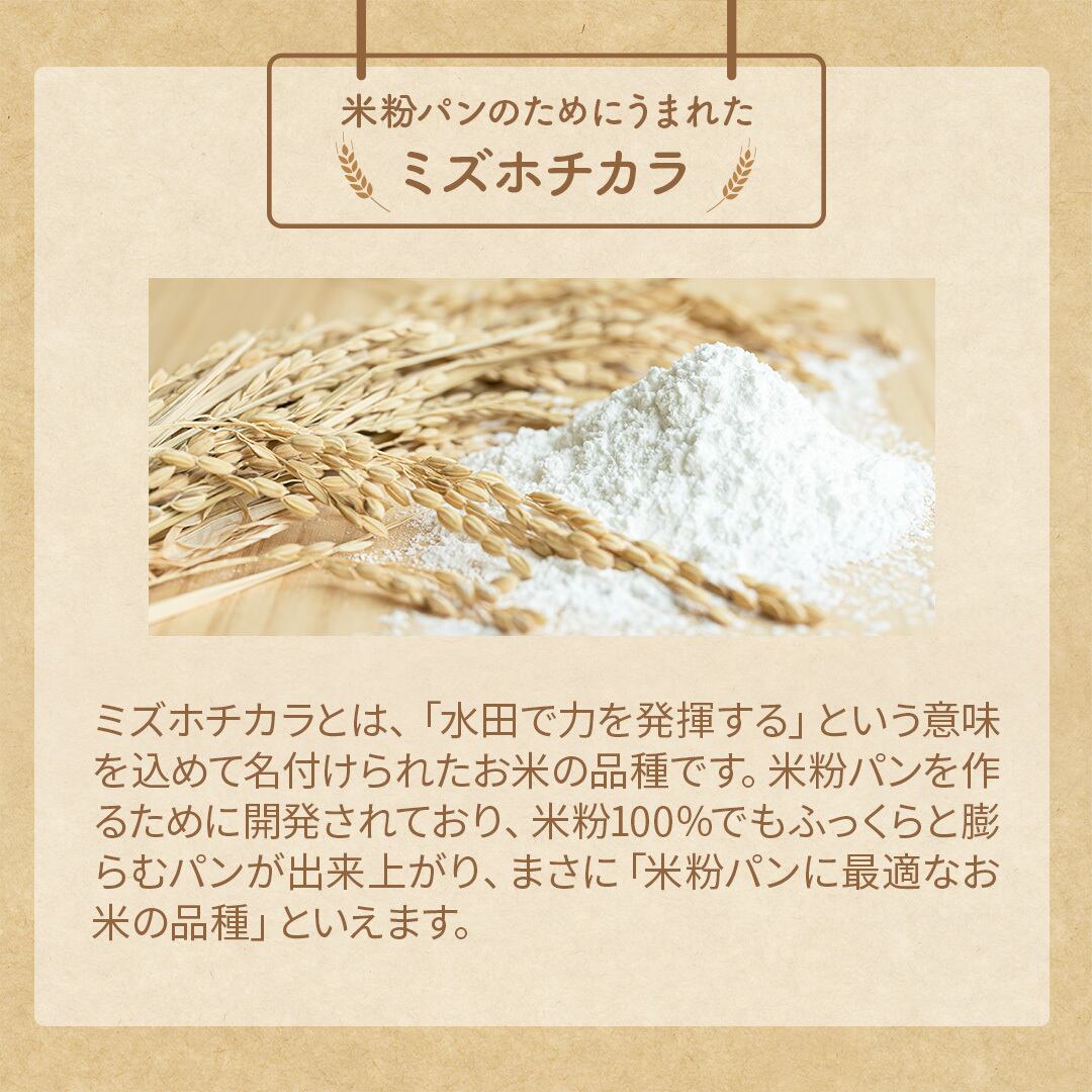 D'sTs 米粉 パン用 ミズホチカラ 2kg 国産 米粉パン用 グルテンフリー