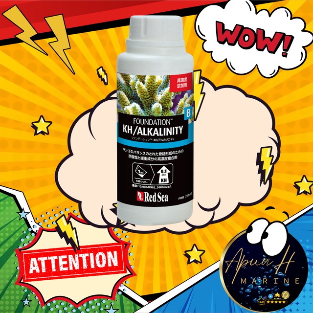 ファンデーションB　(Alk)　250ml