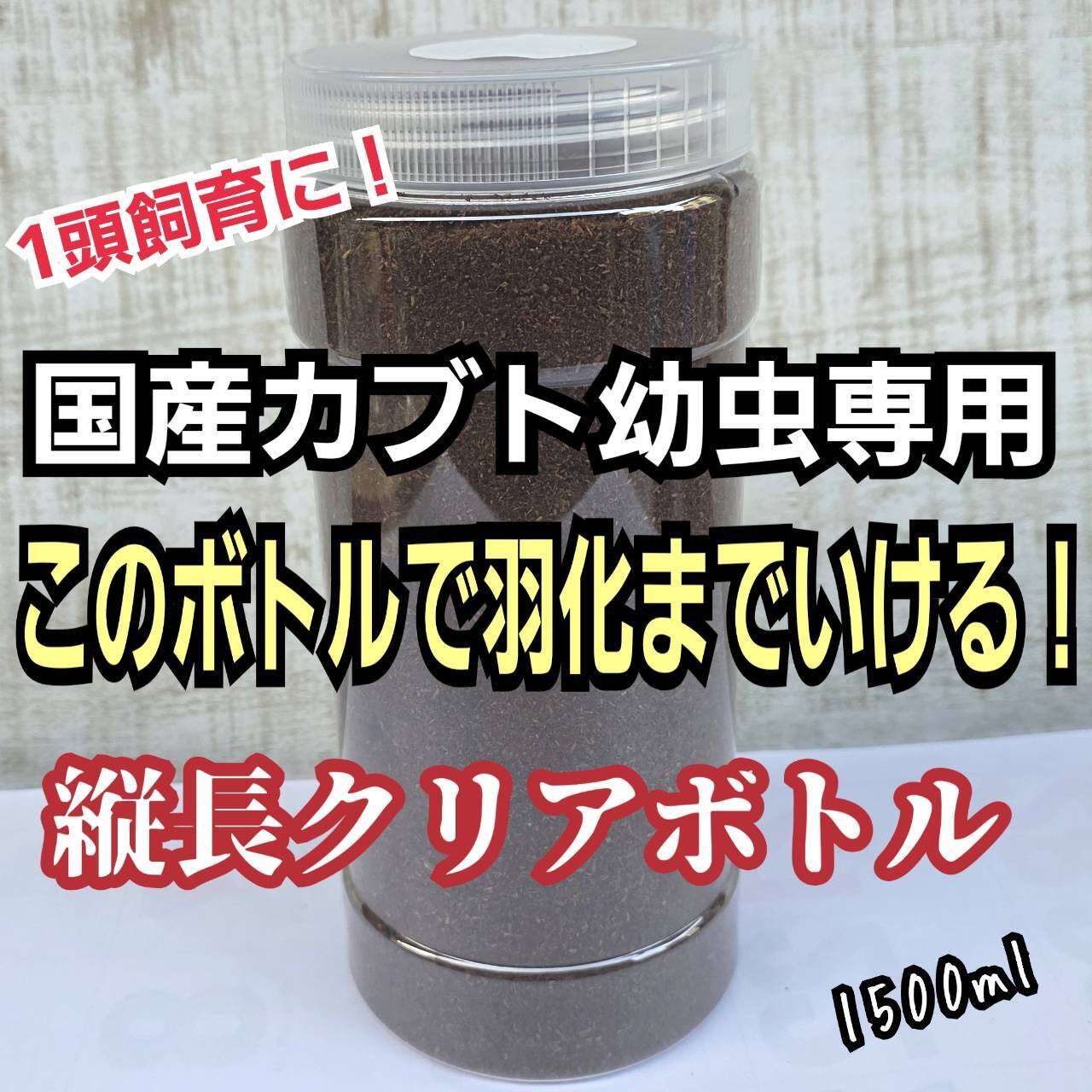 極上！黒アワビタケ菌糸瓶【7本】初令、2令に最適なサイズ！ニジイロ