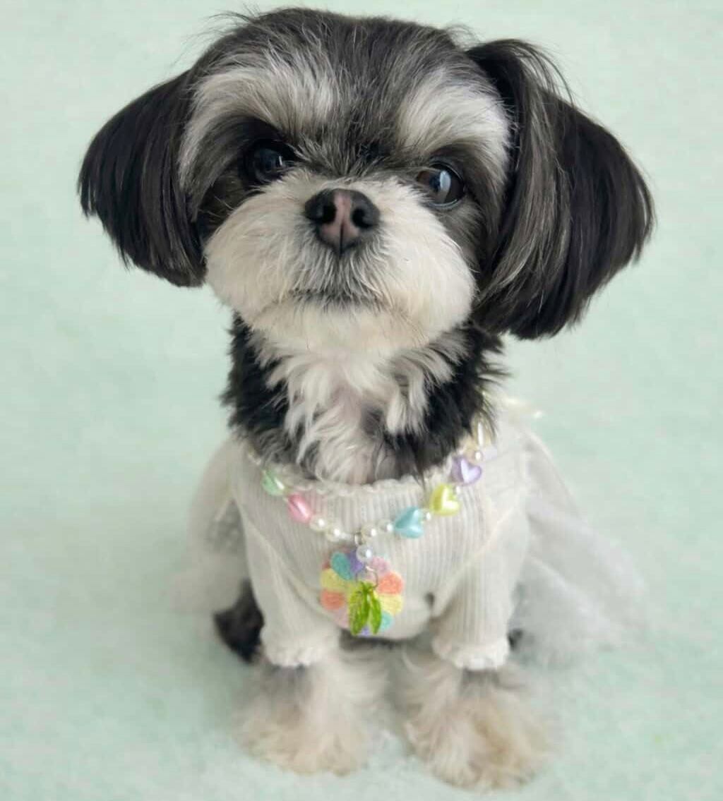 パステルフラワーネックレス