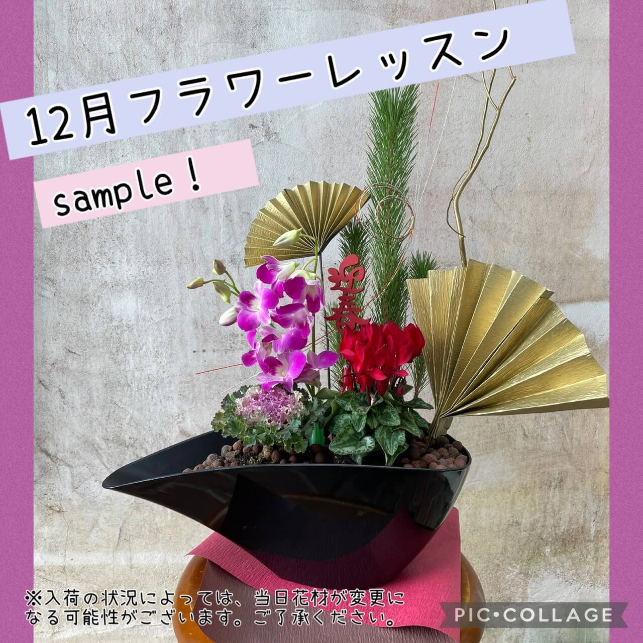 【12月フラワーレッスン】新年を上品に迎える！蘭の寄せ植え(fl2025-12-27)