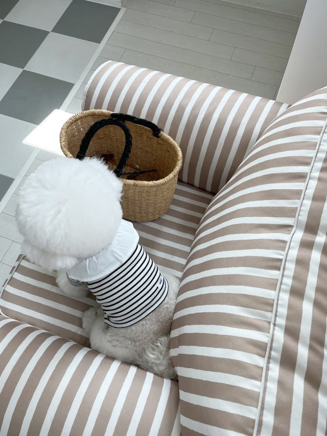 即納／【 Little Heart 】april button stripe tops