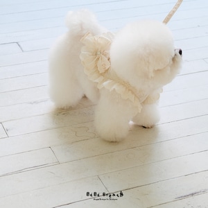 SM/即納【bebebreath】Bijou Harness