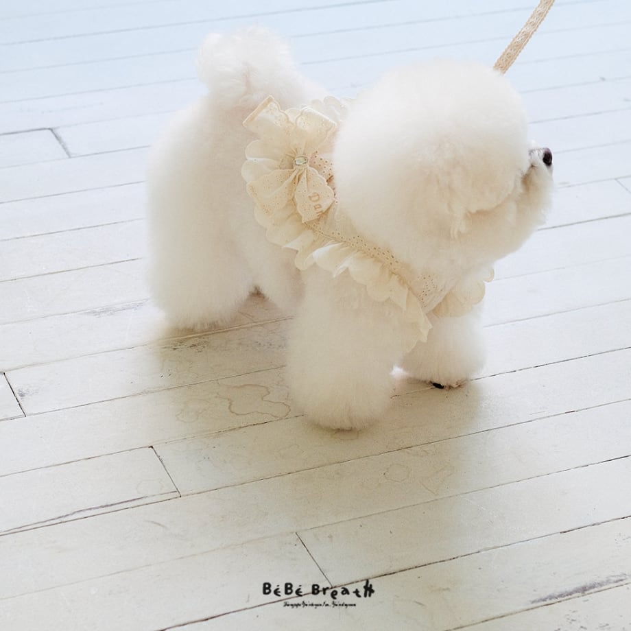 SM/即納【bebebreath】Bijou Harness
