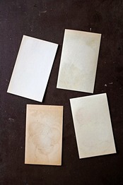 20s フランス 4set 膨満な花々と野菜たち 種子袋用ラベルf アンティーク