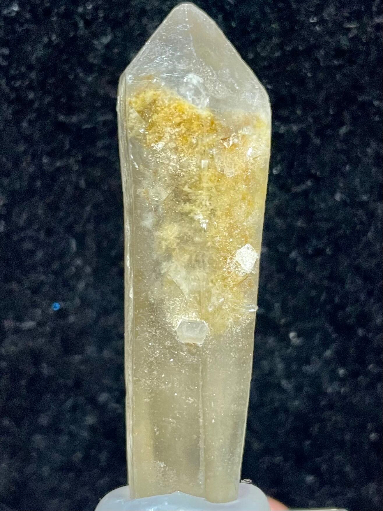 12) ロシアン・レムリアン