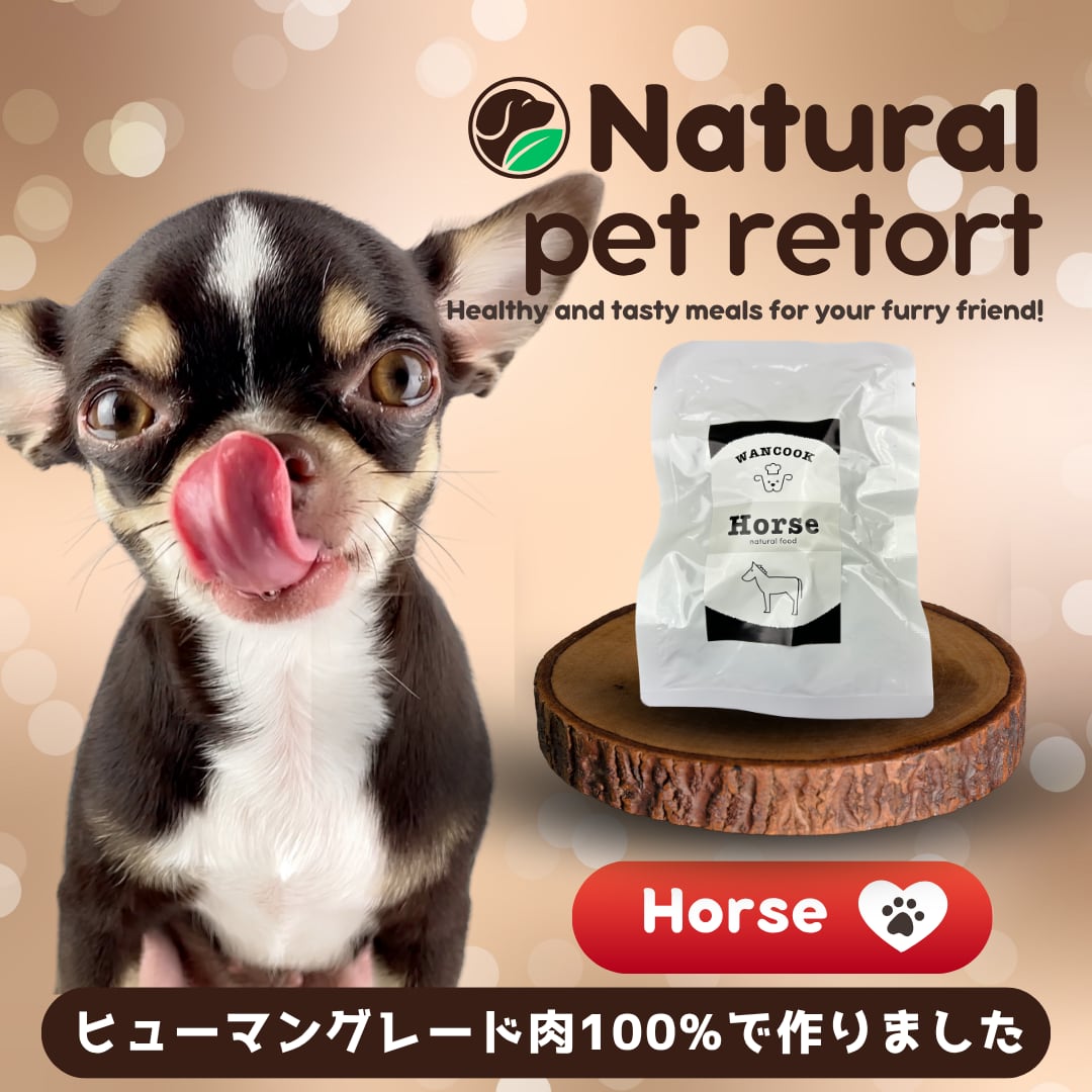 毎月1回お届け!全5種レトルトのアソートセット