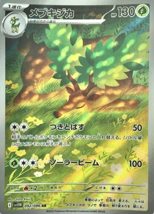 【Bランク】メブキジカ(AR)