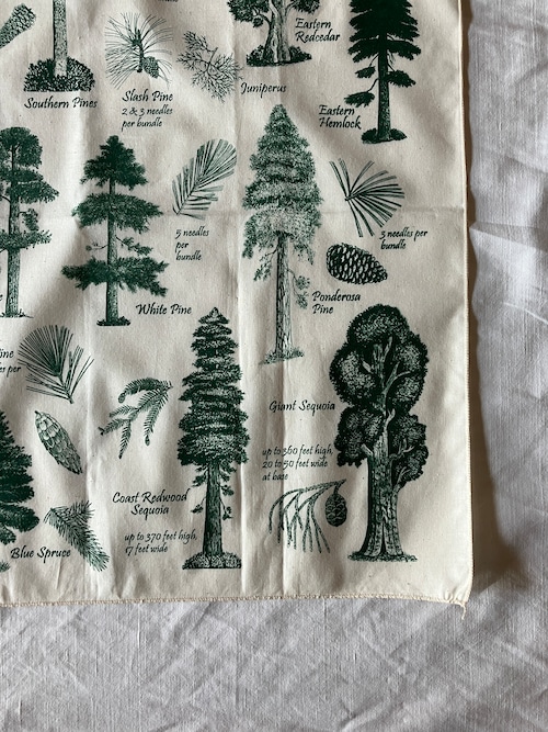 TRAIL HANKIE CONIFEROUS TREE BANDANA 7