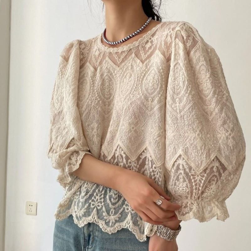 Lace embroidery sheer blouse 2 colors V2460