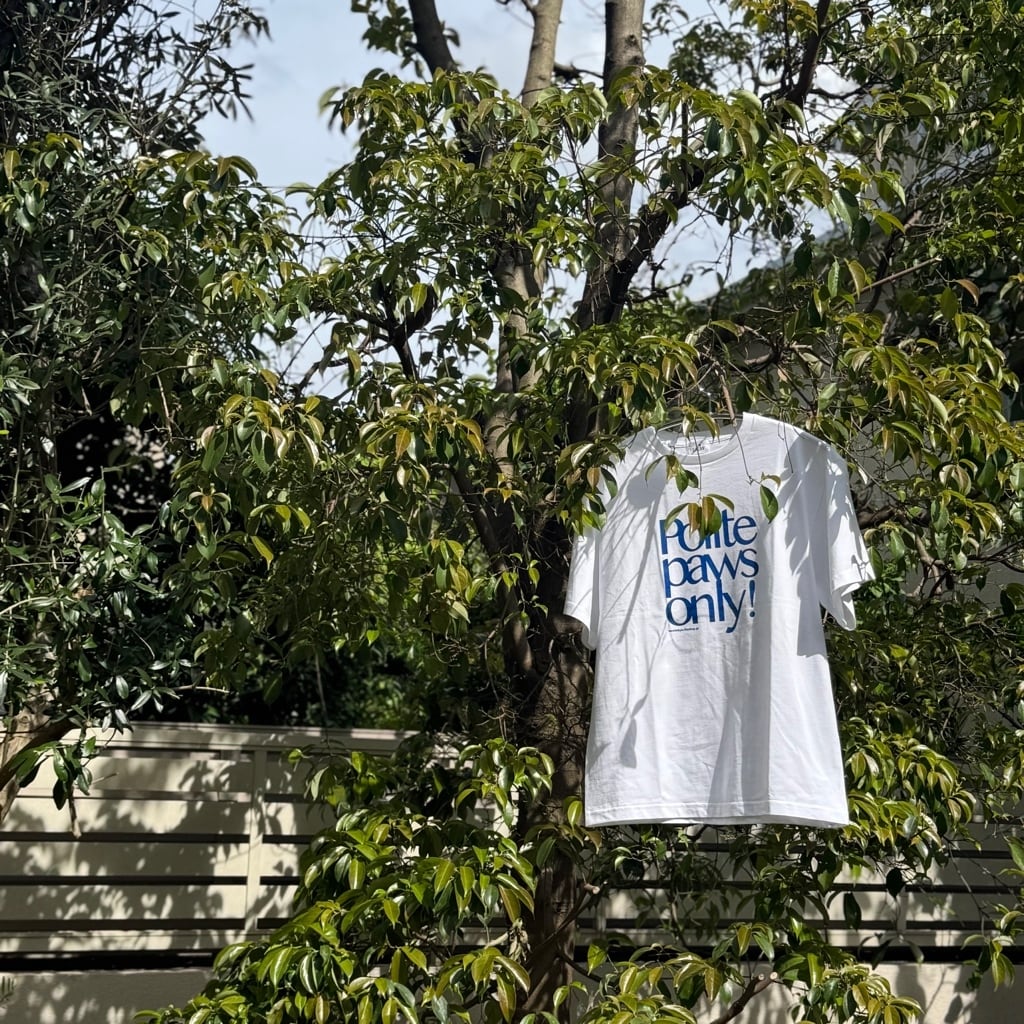 Polite Tシャツ | LAUW（ラウー）