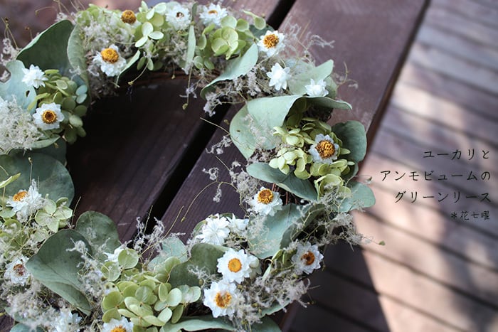 ユーカリとアンモビュームのリース/ドライフラワー | 富良野 花七曜