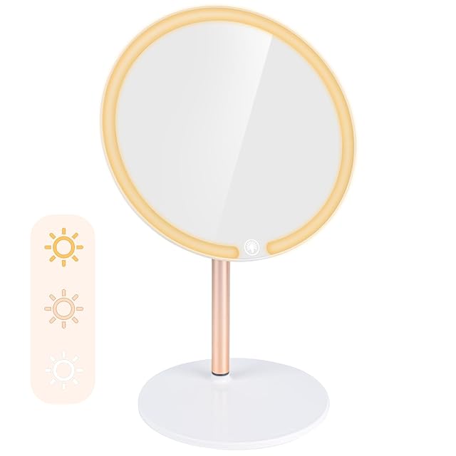 BESTOPE 化粧鏡 女優ミラー 壁掛け/卓上両用 ハリウッドミラー 卓上鏡