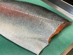 【トロ鱒】琴浦グランサーモン/ニジマス/原体2～2.5kg/半身フィレ1枚【生】
