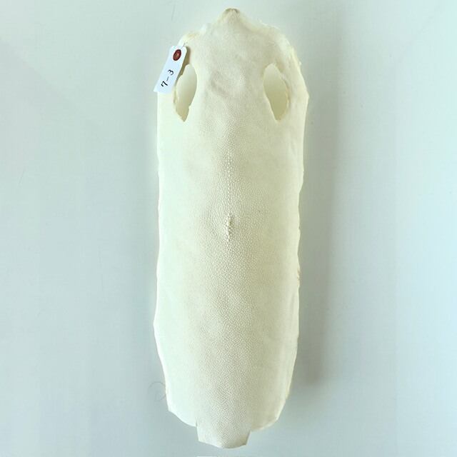 刀剣用　鮫皮　エイ革 10-3 11-6 2枚分user_46f847da 鮫皮問屋