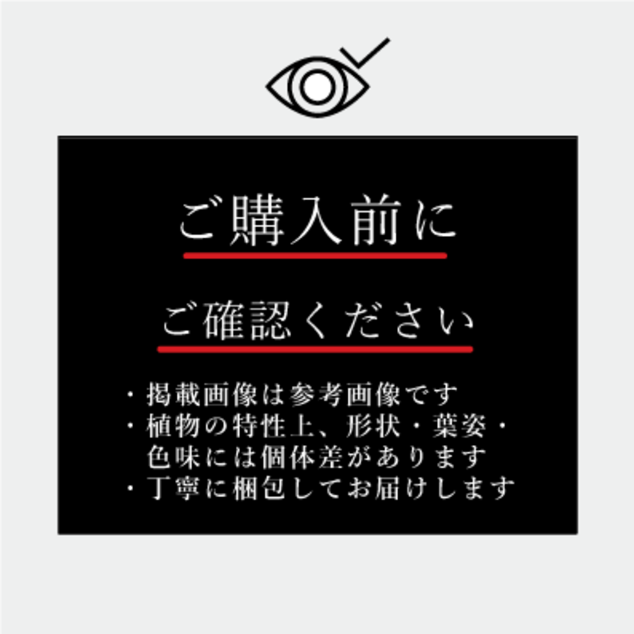 ポトスタワー 7号