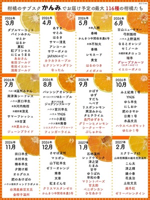 【21品種】#かんみスペシャル【3ヶ月ごとのサブスク】