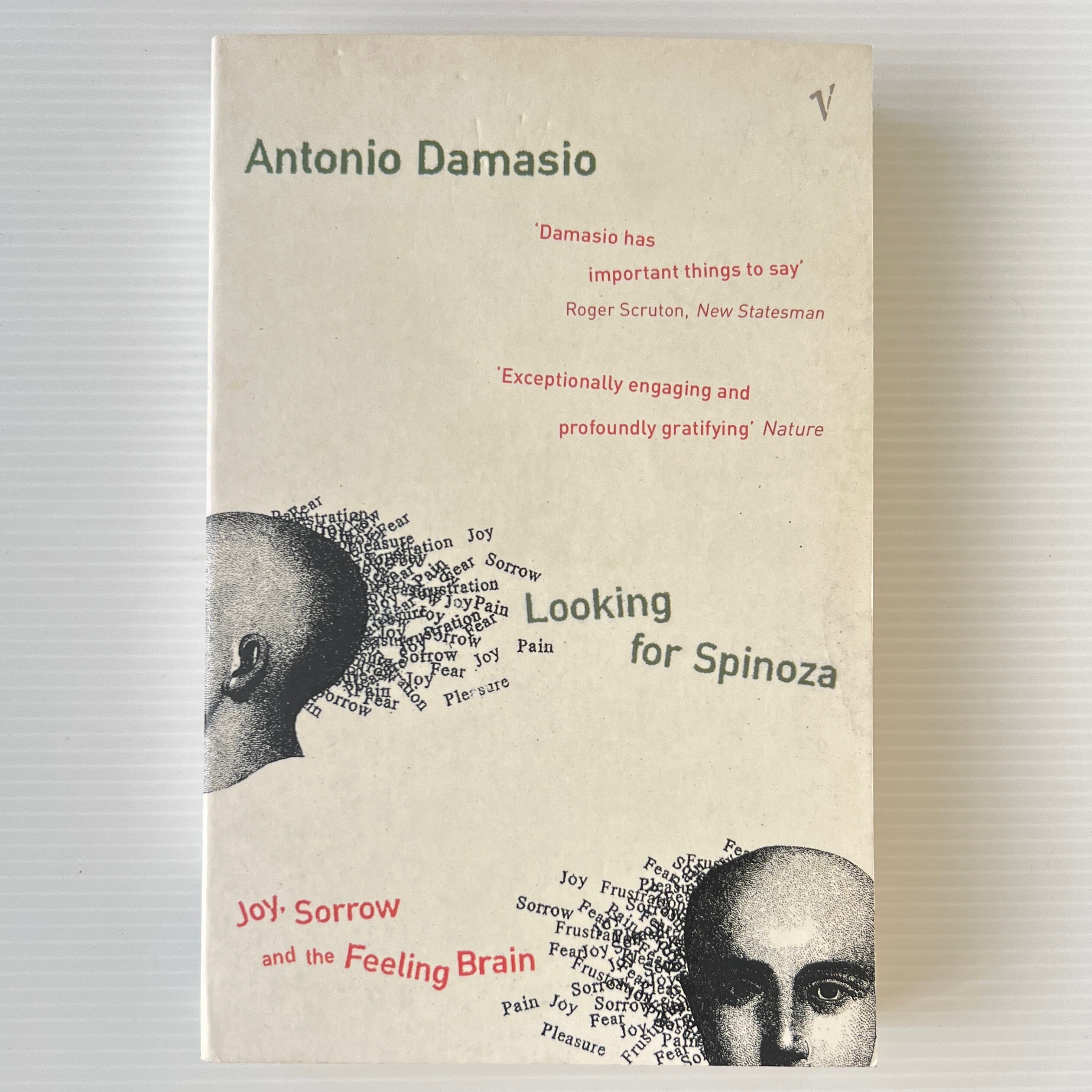 Looking for Spinoza : Joy, Sorrow and the Feeling Brain / Antonio Damasio / Vintage