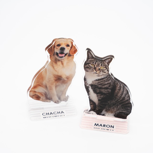 【送料無料】うちのこ アクリルスタンド（写真・名入れ）