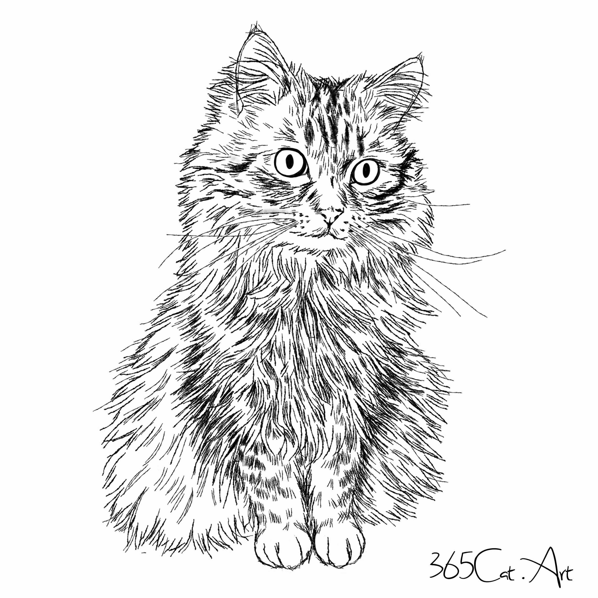 79%OFF!】 猫 ネコ ねこ 猫の絵 原画 鉛筆画 絵画 手描き イラスト モノクロ⭐︎