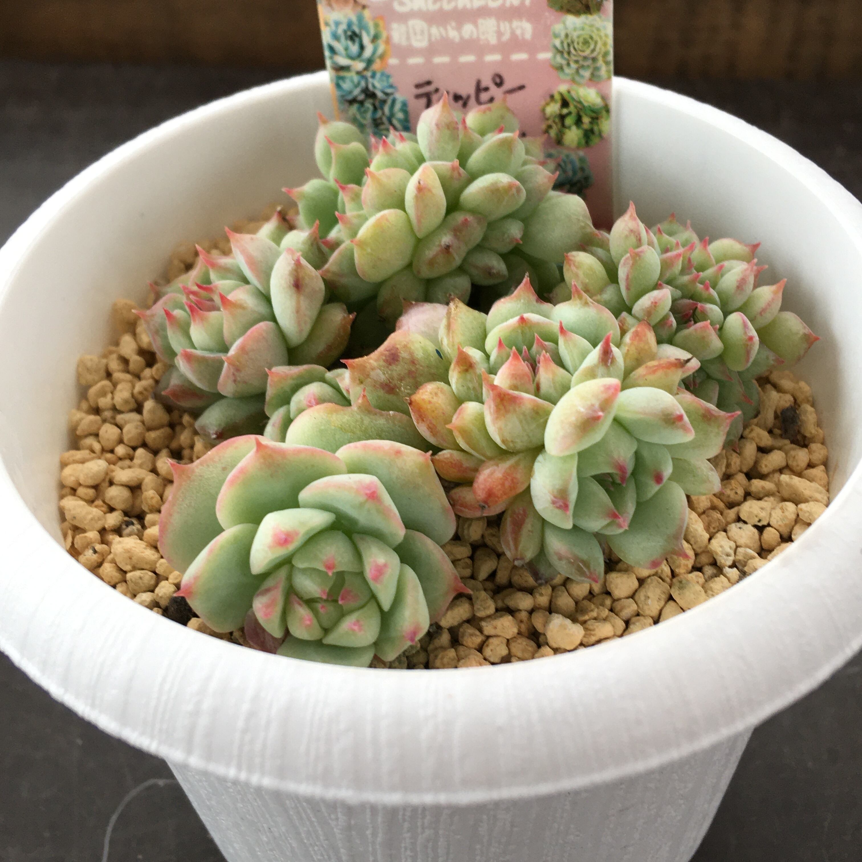 7dd7b9ceec41f2c0ade17cf8f31f05