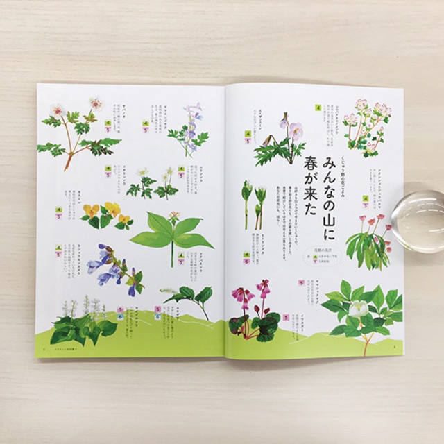 山地図本 春編 九州 山口の登山ルートガイド のぼろbooks 西日本新聞 オンラインブックストア 山地図本 春編 九州 山口の登山ルートガイド のぼろbooks 西日本新聞 オンラインブックストア