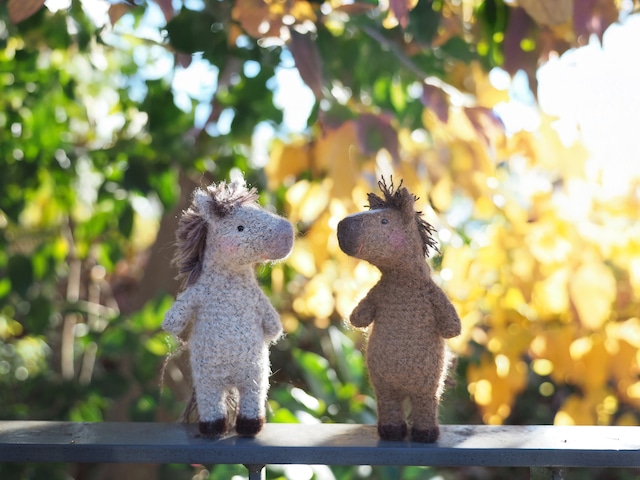 小さな小さなカエル（まだら）