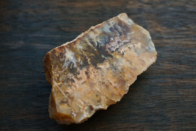 オレゴン州産プルームアゲート Graveyard Point Plume Agate 1878