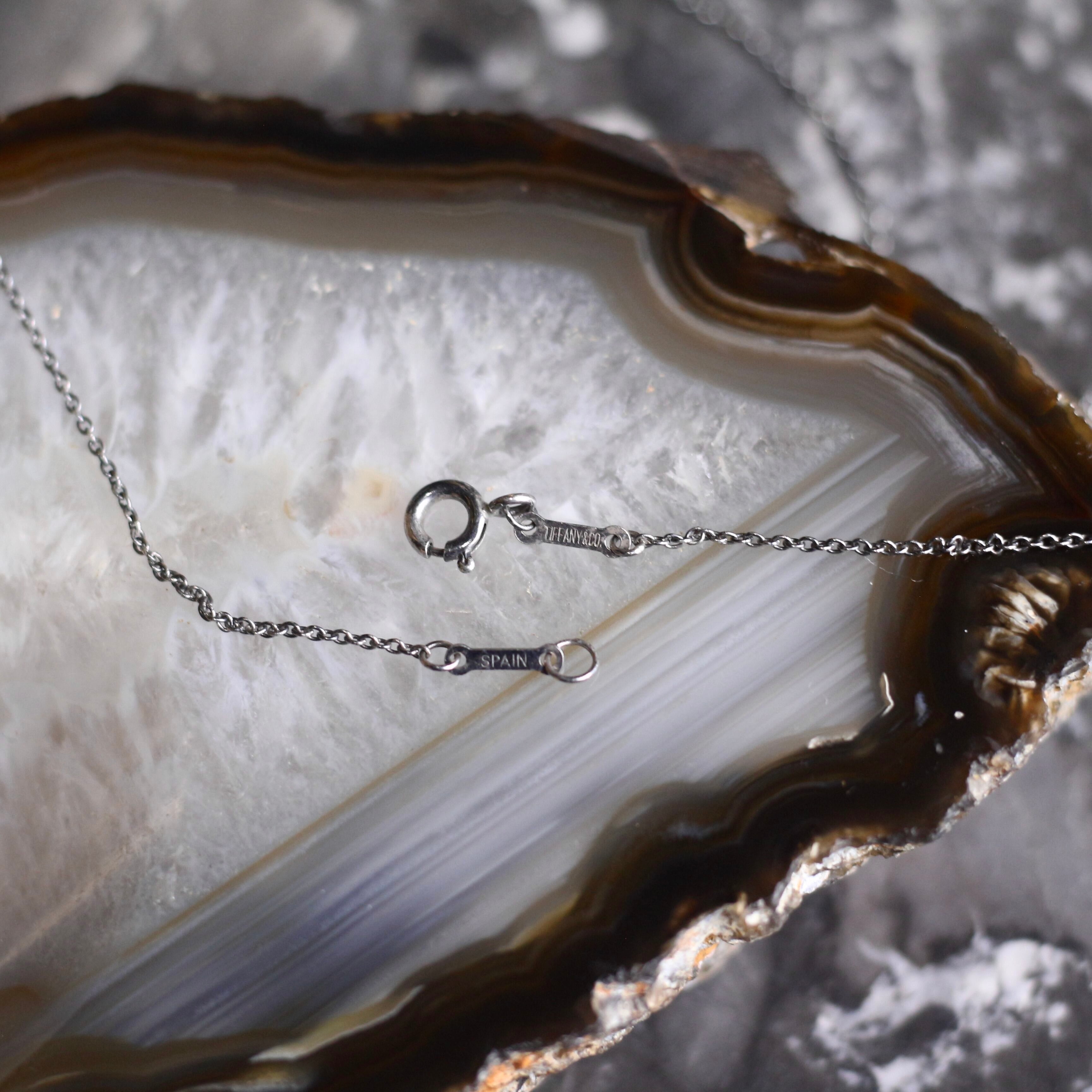✨Tiffany& Co.✨ティファニー✨シルバー925✨アップル✨ネックレス