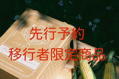 ２０２５【先行予約移行者限定／１０本】八ヶ岳生とうもろこし／ギフトボックス入り／7月21日〜8月10日到着分