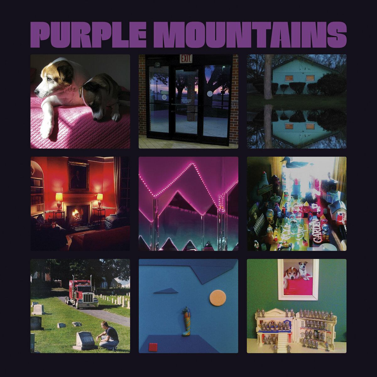 Purple Mountains / Purple Mountains（Ltd LP）