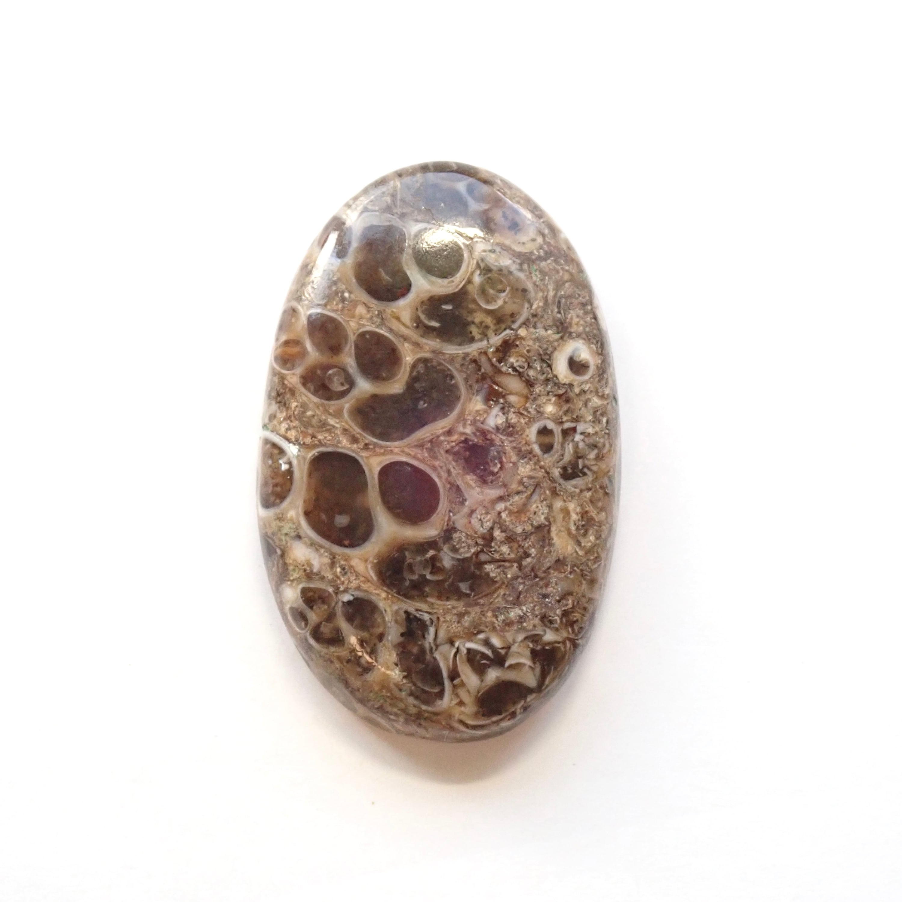 ツリテラアゲート　09