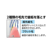 エビス プログリップハブラシtypeⅠ ふつう ３本組 おまかせ 1個 (x 3)