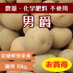 (徳用)じゃがいも(男爵) 10kg