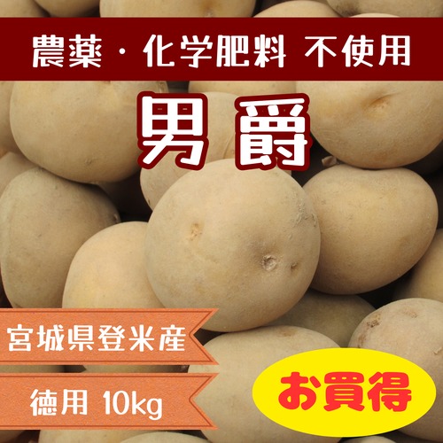 【徳用】じゃがいも(男爵) 10kg