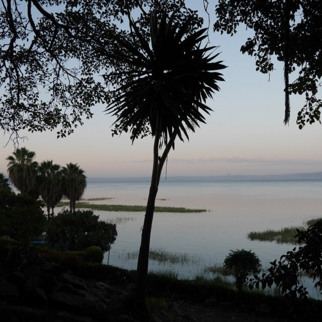 ETHIOPIA BANKO CHEL CHELE G1 【 浅煎りー200g 】