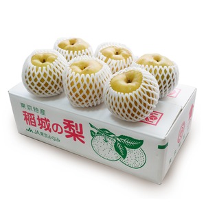 15【予約販売】稲城の梨「新高」平箱　大玉